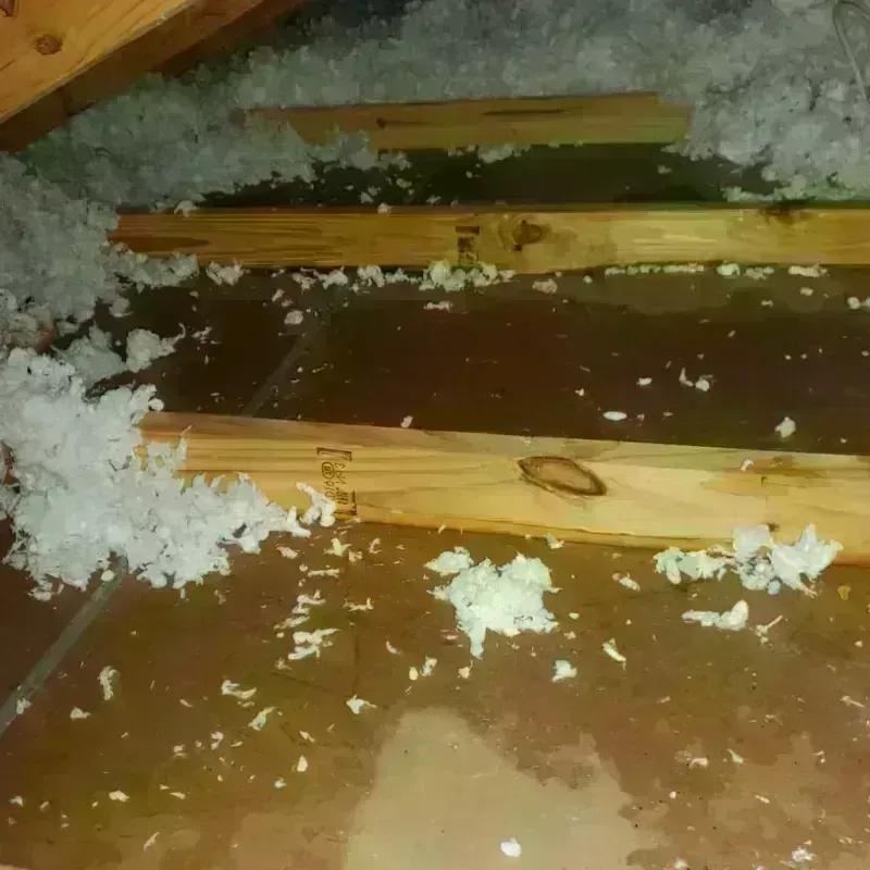 Attic Water Damage in Globe, AZ