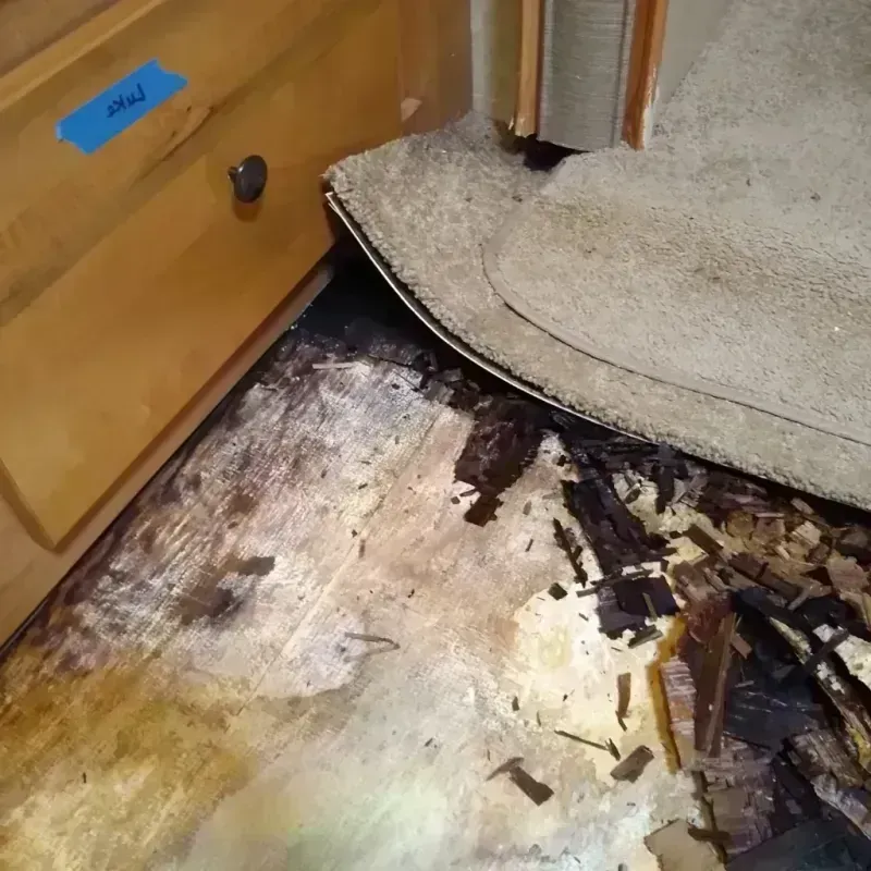 Best Wood Floor Water Damage Service in Globe, AZ